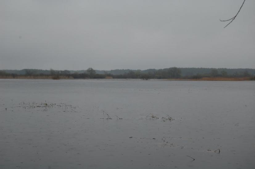 Комарове з panoramio.com - Комарово