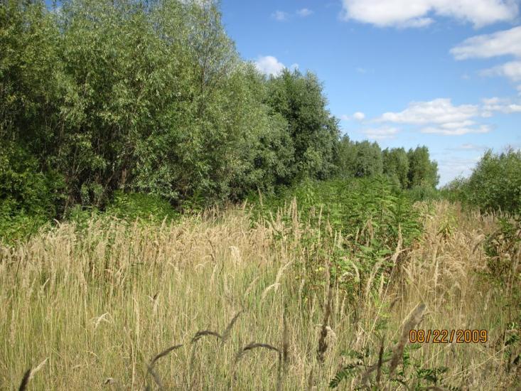 Соболівка з panoramio.com - Соболівка