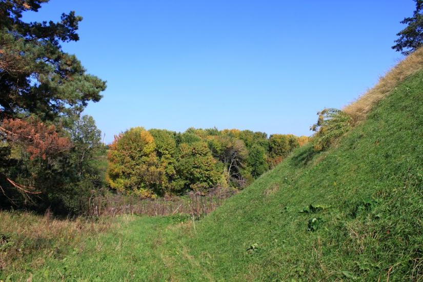 Яроповичі з panoramio.com - Яроповичи