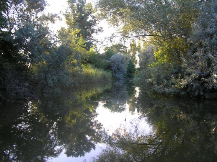 Зелений Колодязь з panoramio.com - Зелений Колодязь