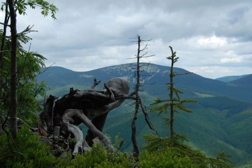 Згари з panoramio.com - Згары