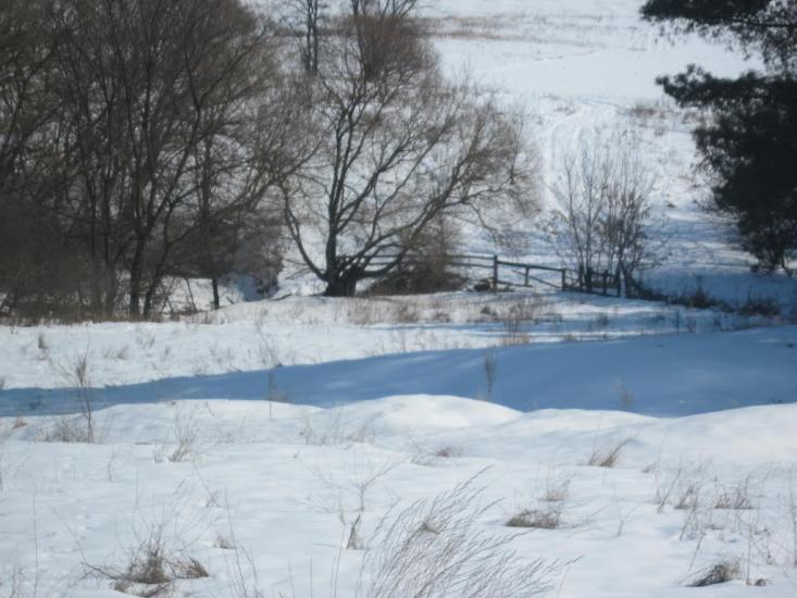 Бишкінь з panoramio.com - Бишкінь