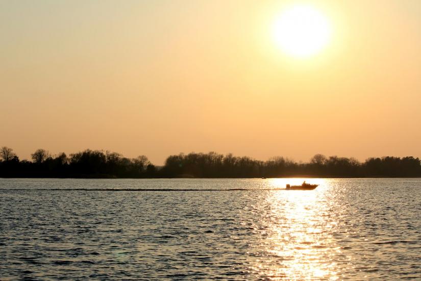 Вишеньки з panoramio.com - Вишенки