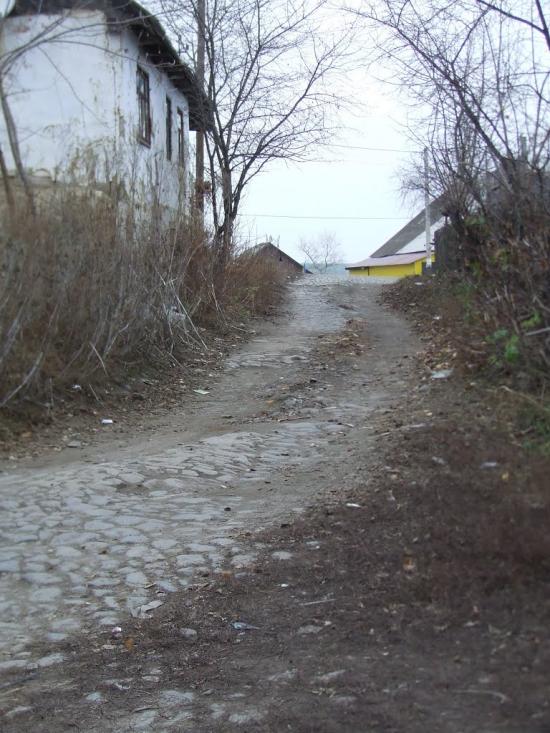 Чернівці з panoramio.com - Чернівці