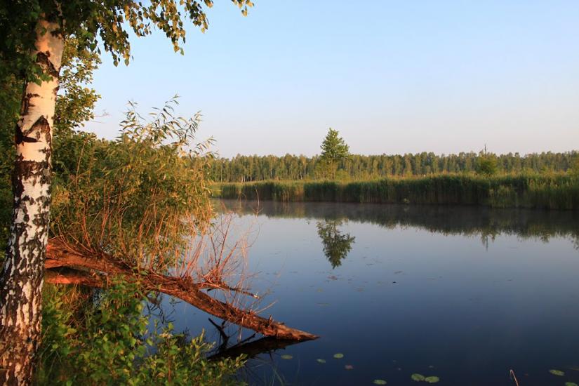 Жовтневе з panoramio.com - Жовтневе