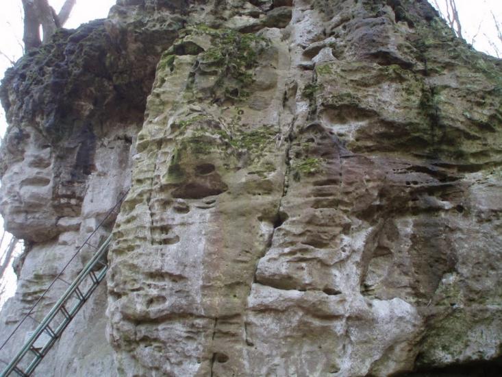Козулька з panoramio.com - Козулька