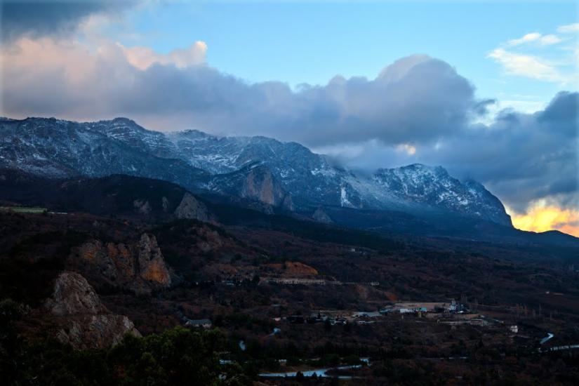 Олива з panoramio.com - Олива
