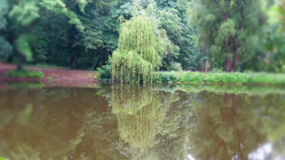 Краснокутськ з panoramio.com - Краснокутск