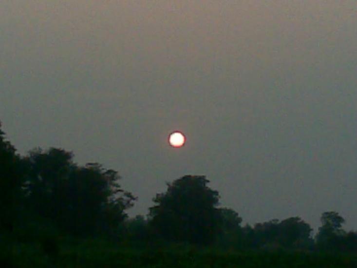 Веселий Кут з panoramio.com - Веселый Кут