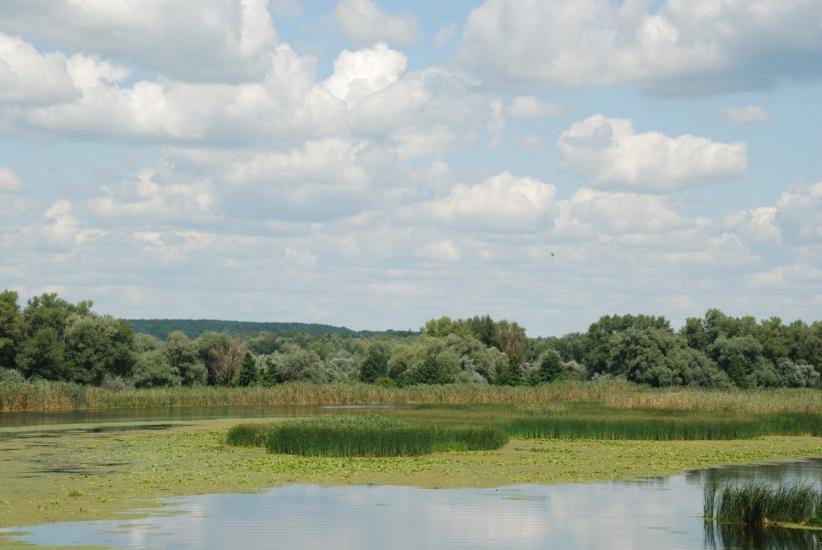 Вільховатка з panoramio.com - Вільховатка