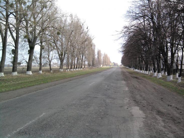 Христинівка з panoramio.com - Христиновка