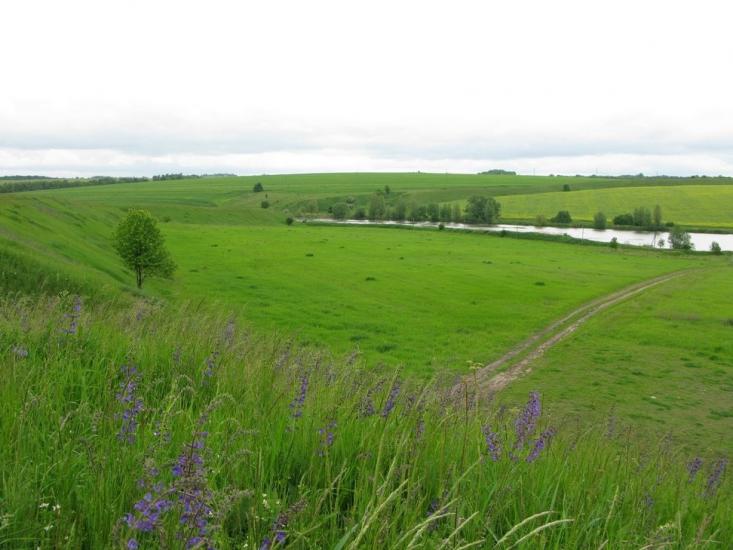 Озеро з panoramio.com - Озеро