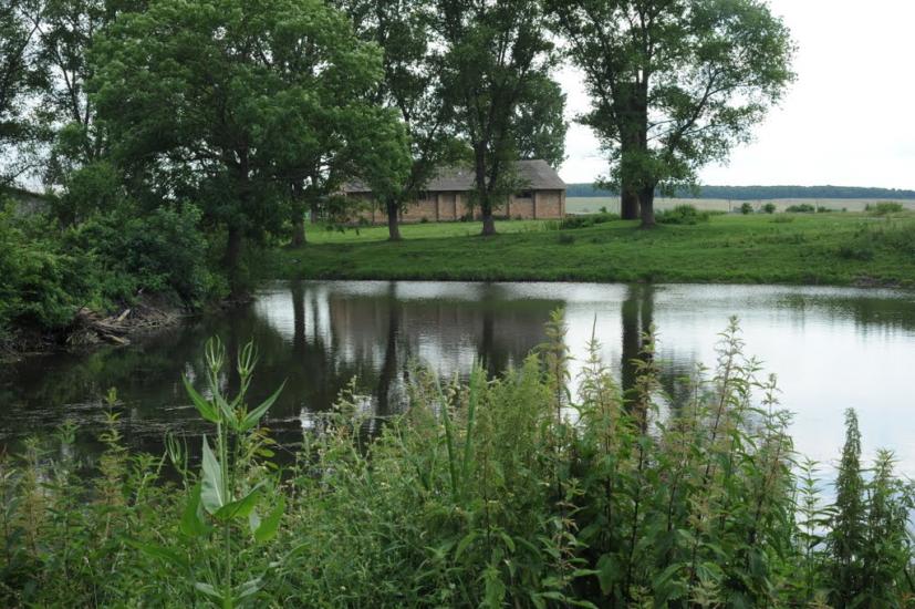 Жовтанці з panoramio.com - Жовтанці