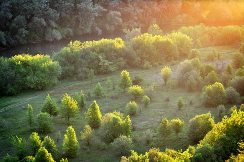 Серебрянка з panoramio.com - Serebryanka
