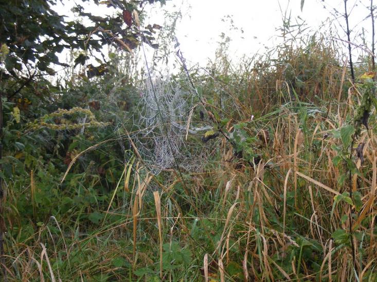 Малнів з panoramio.com - Малнів