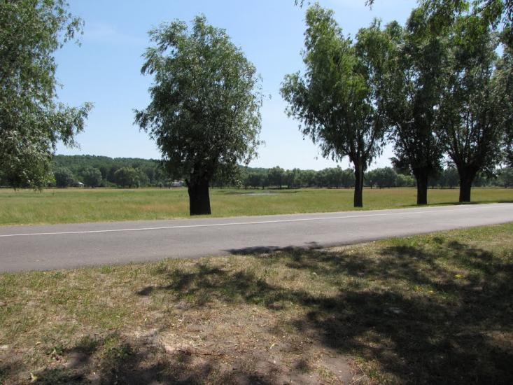 Мельники з panoramio.com - Мельники