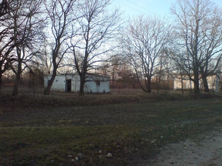 Нестерівці з panoramio.com - Нестерівці