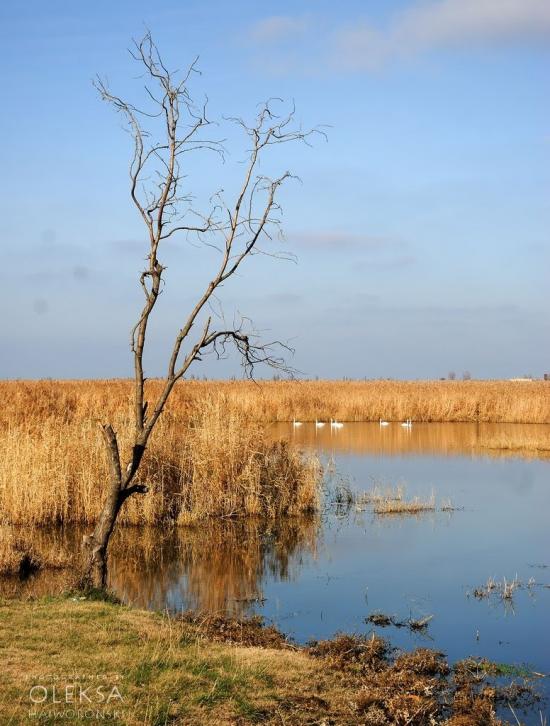 Фрунзе з panoramio.com - Фрунзе