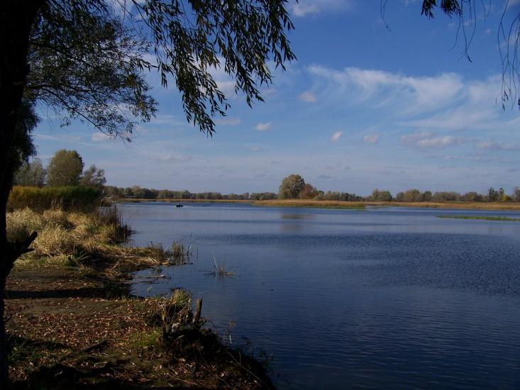 Свидівок з panoramio.com - Свидовок