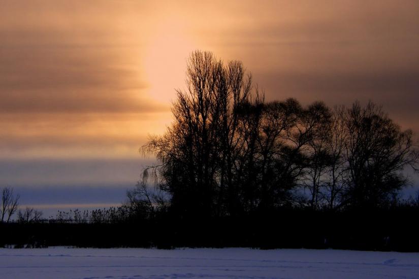 Піски-Радьківські з panoramio.com - Pisky-Radkivski