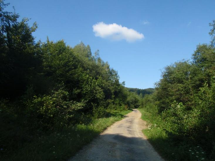 Княгиня з panoramio.com - Княгиня
