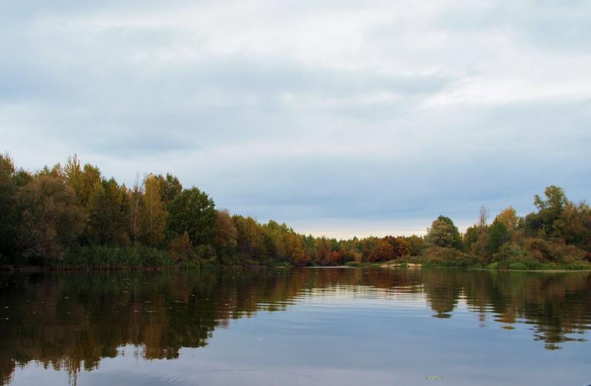 Прохорів з panoramio.com - Прохоров
