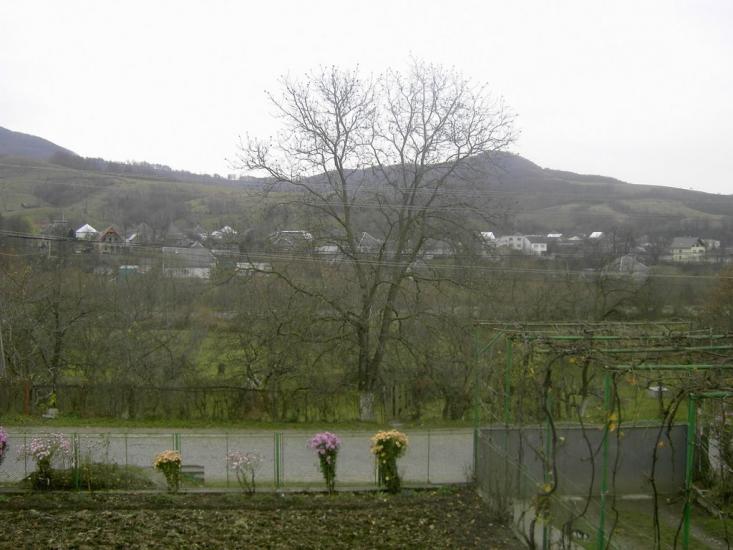 Кушниця з panoramio.com - Кушниця