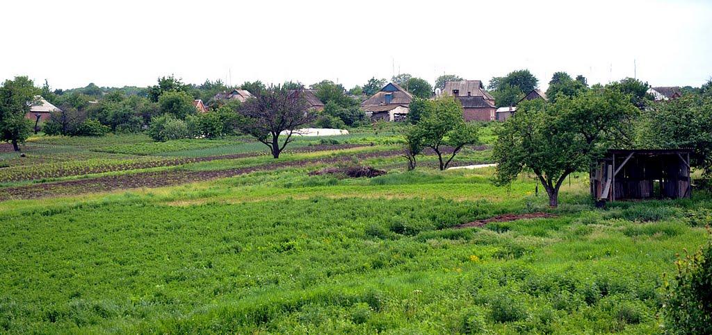 Щербинівка з panoramio.com - Щербинівка