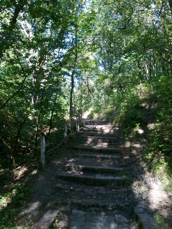 Никонорівка з panoramio.com - Никонорівка