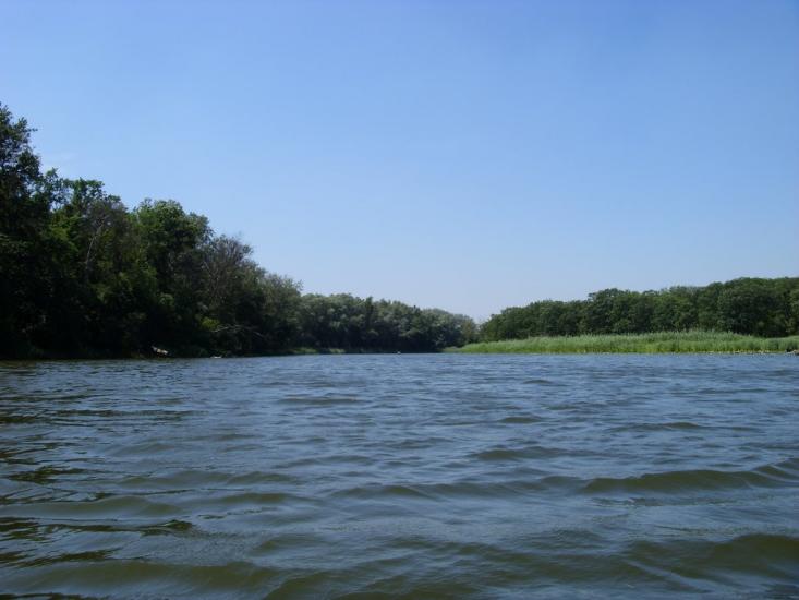 Сокільники з panoramio.com - Сокольники