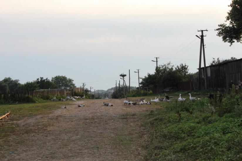 Свердловка з panoramio.com - Свердловка