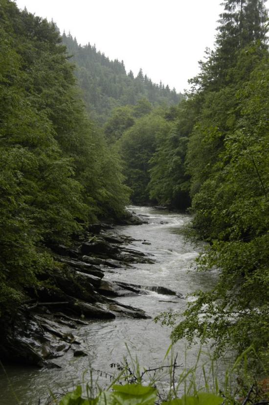 Нижній Яловець з panoramio.com - Nyzhniy Jalovets