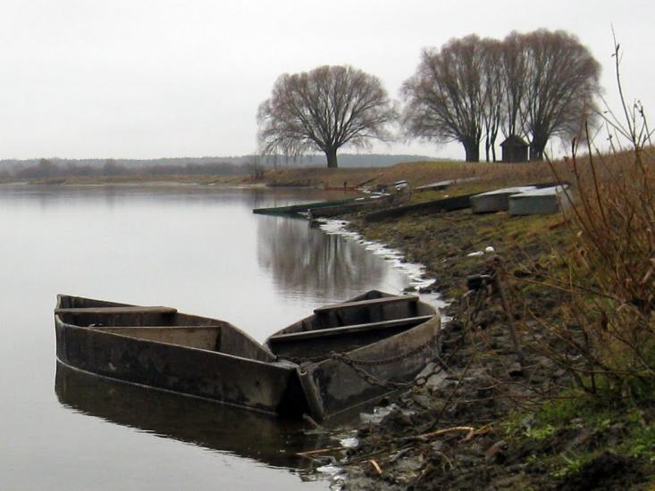 Рогівка з panoramio.com - Роговка