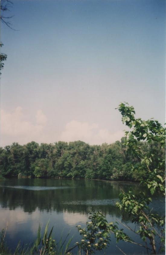 Марганець з panoramio.com - Marganets