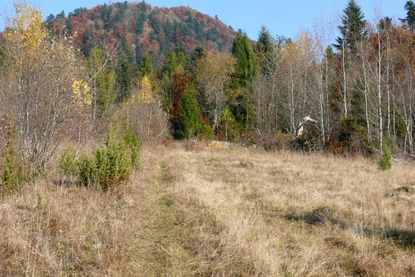 Пашківці з panoramio.com - Пашківці