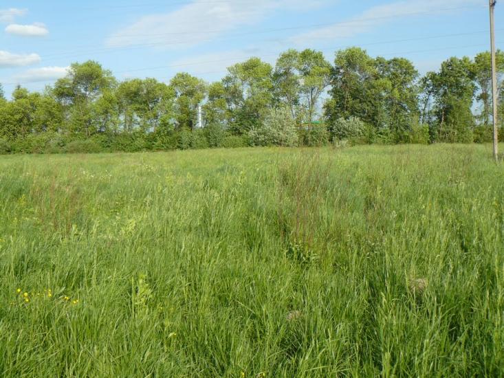 Богородчани з panoramio.com - Bogorodchany