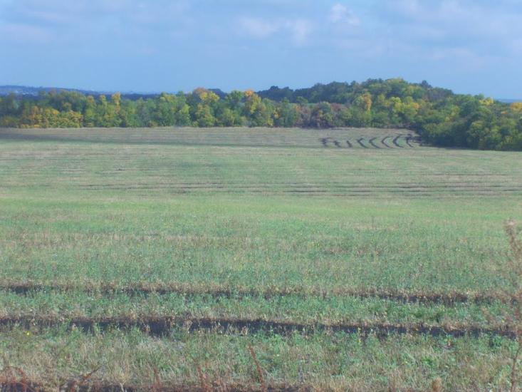 Юнаківка з panoramio.com - Yunakivka