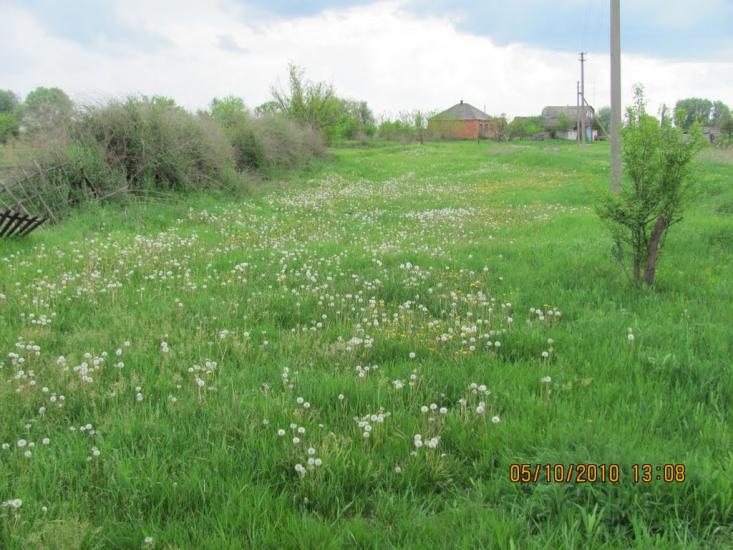 Мілуватка з panoramio.com - Мілуватка
