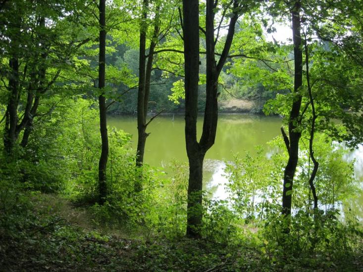 Рибальське з panoramio.com - Рибальське