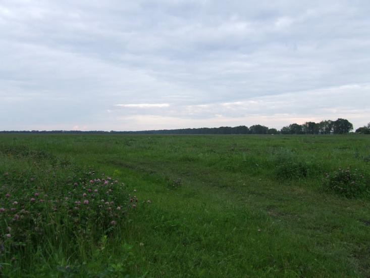 Рубанка з panoramio.com - Рубанка