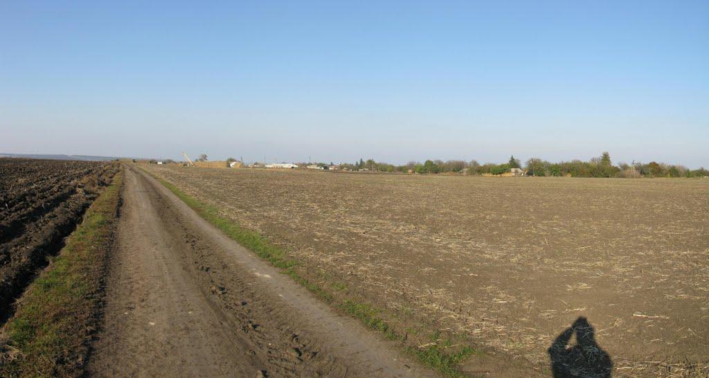 Ясинове з panoramio.com - Ясиновое