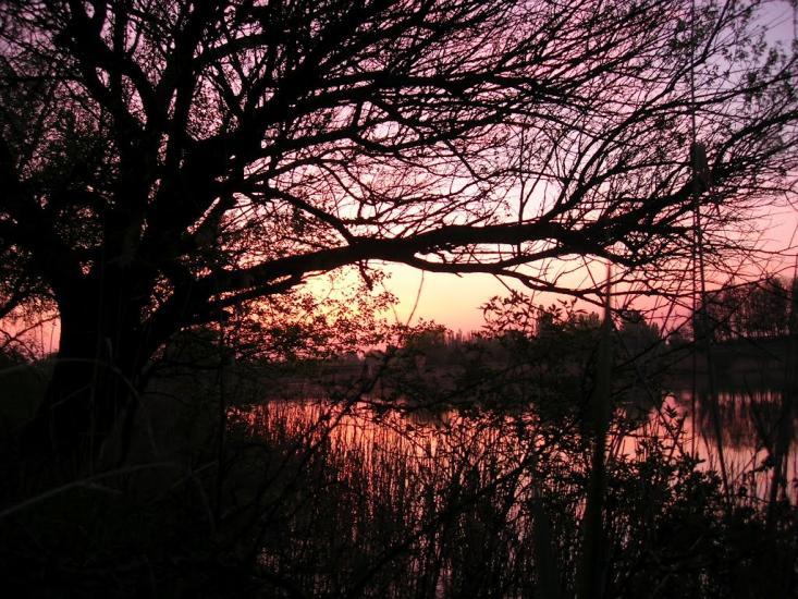 Інгулець з panoramio.com - Інгулець