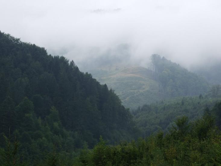 Стара Красношора з panoramio.com - Старая Красношора