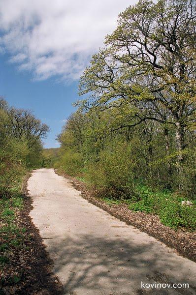 Гончарне з panoramio.com - Гончарне