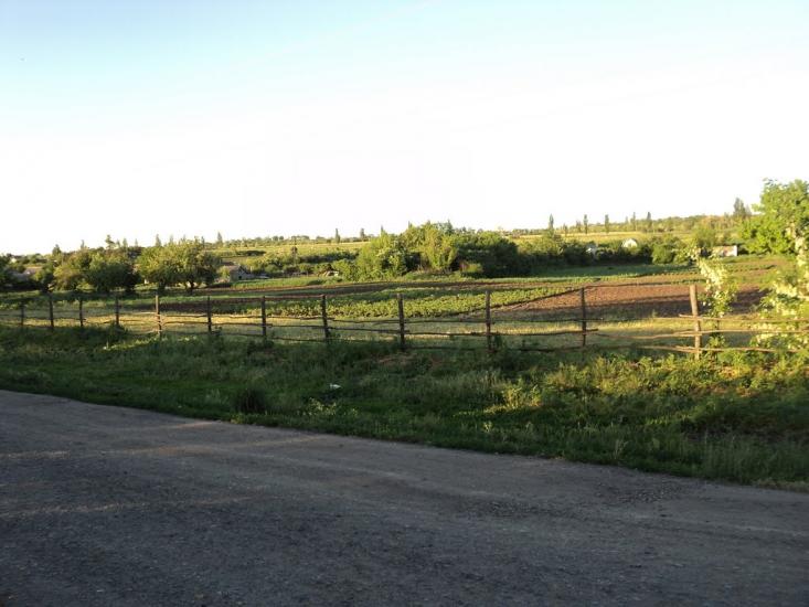 Комар з panoramio.com - Комар