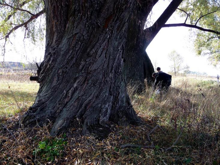 Сухолуччя з panoramio.com - Сухолучье