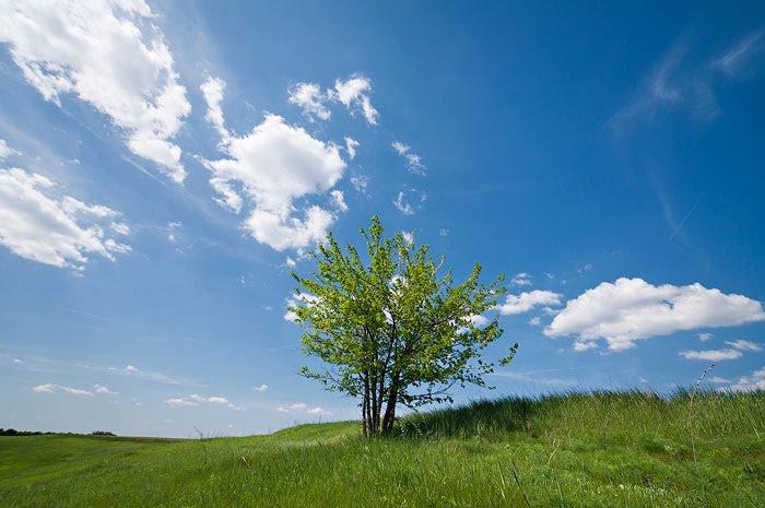 Миронівка з panoramio.com - Мироновка