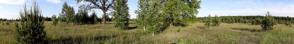 Лебіддя з panoramio.com - Лебіддя