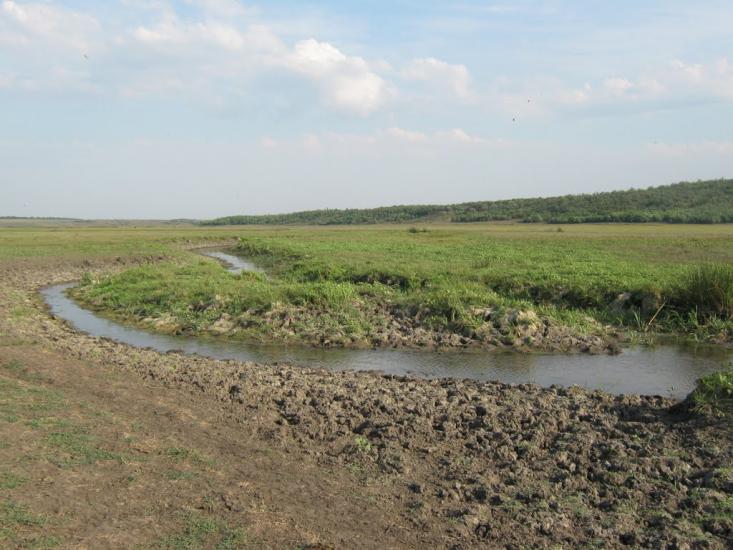 Демидове з panoramio.com - Демидово