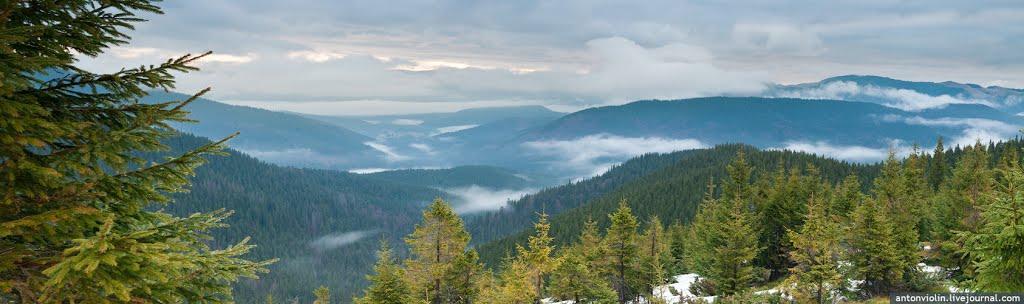 Вороненко з panoramio.com - Voronenko